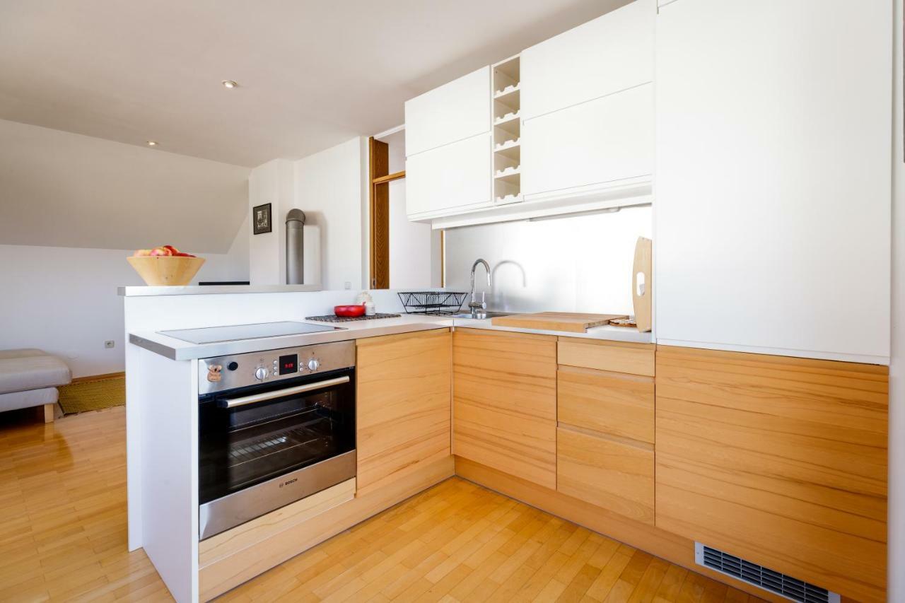 Cosy & Spacious Apt. Benc Zirovnica Екстериор снимка