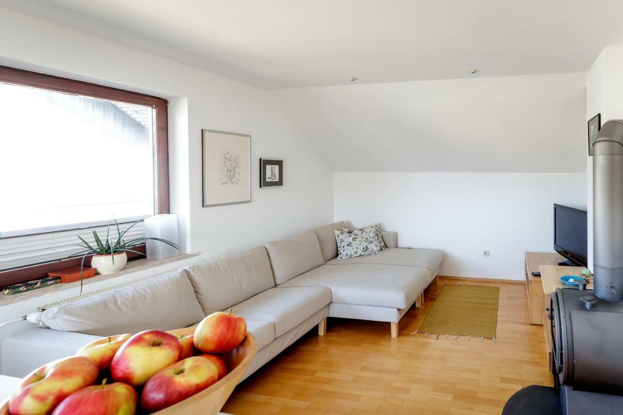 Cosy & Spacious Apt. Benc Zirovnica Екстериор снимка