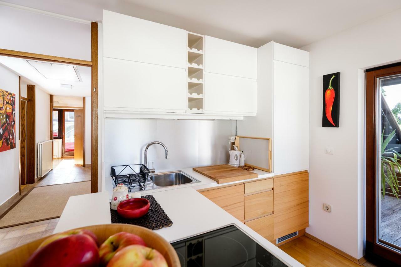 Cosy & Spacious Apt. Benc Zirovnica Екстериор снимка