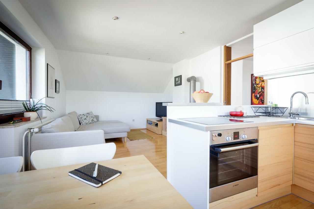 Cosy & Spacious Apt. Benc Zirovnica Екстериор снимка